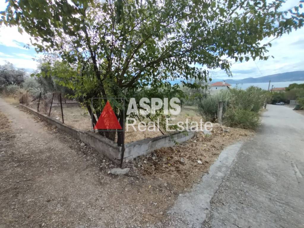 Εξωτερικοι χώροι