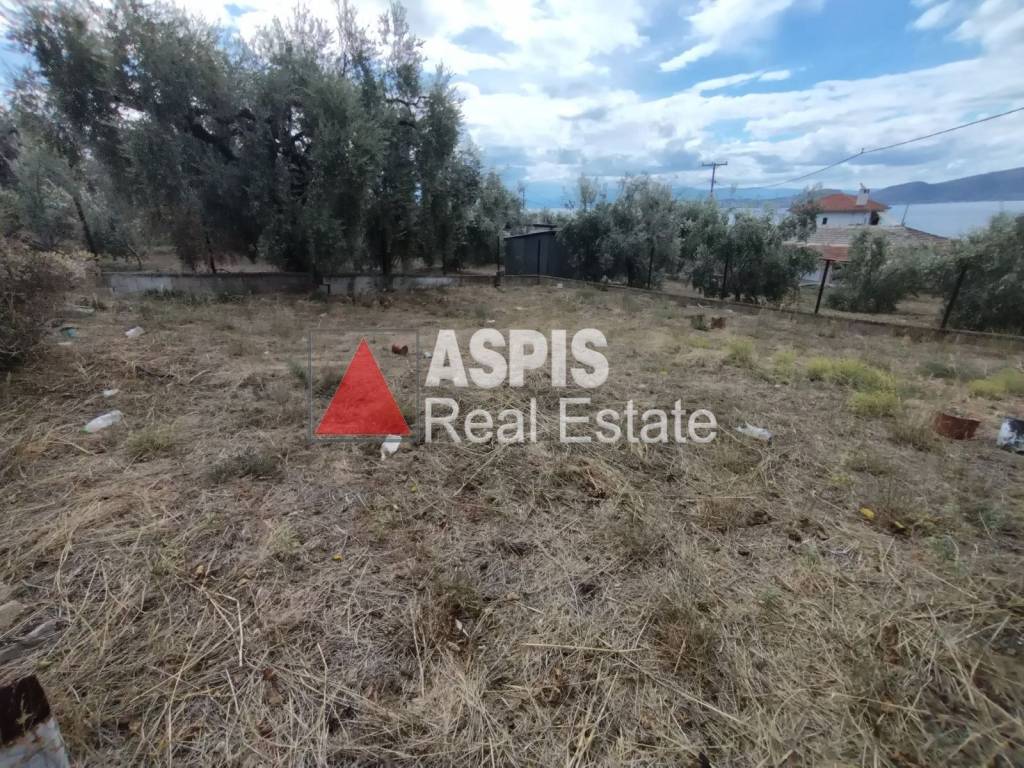 Εξωτερικοι χώροι