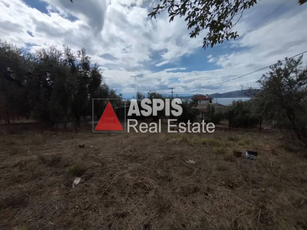 Εξωτερικοι χώροι