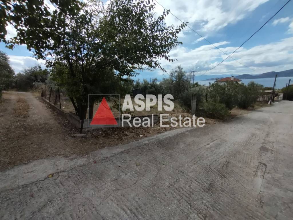 Εξωτερικοι χώροι