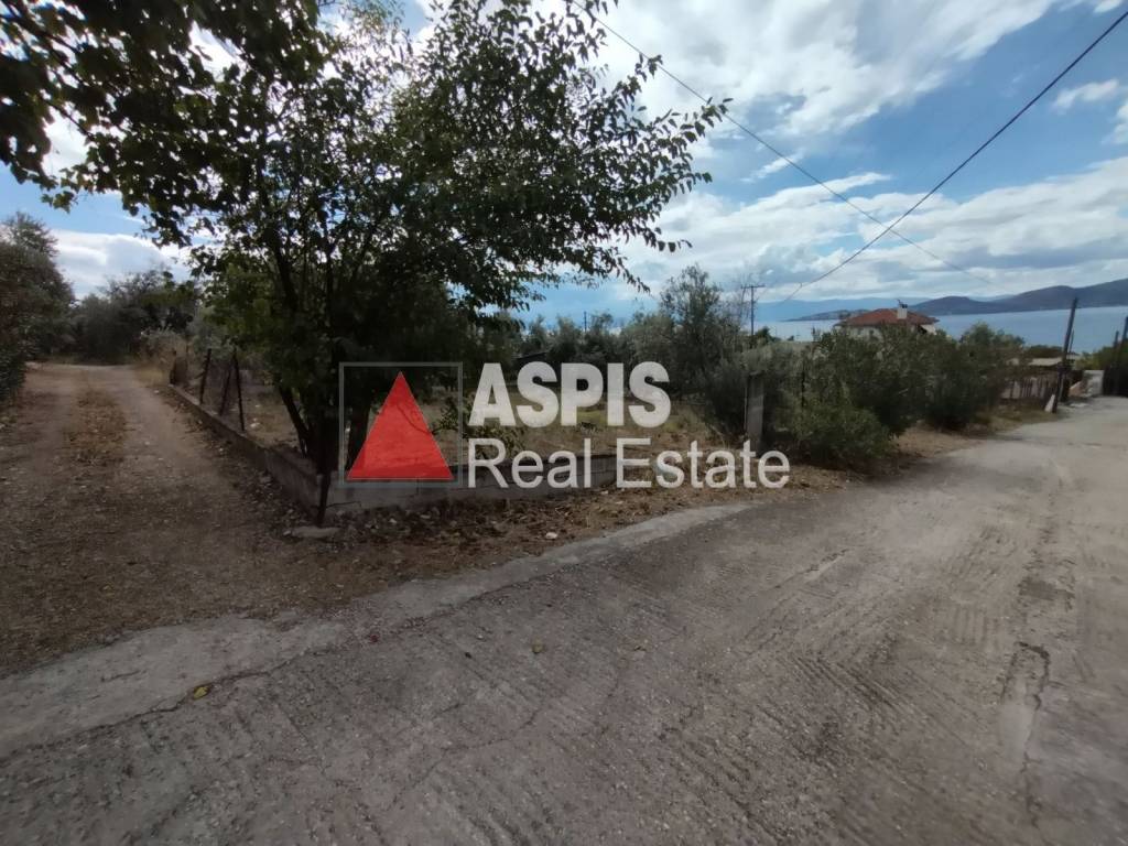 Εξωτερικοι χώροι