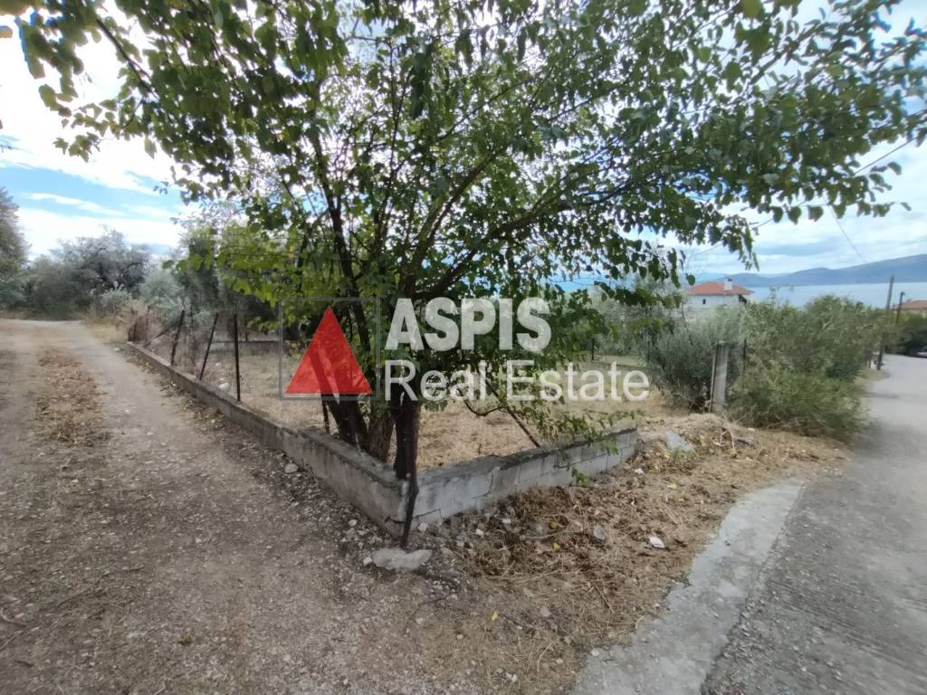 Εξωτερικοι χώροι