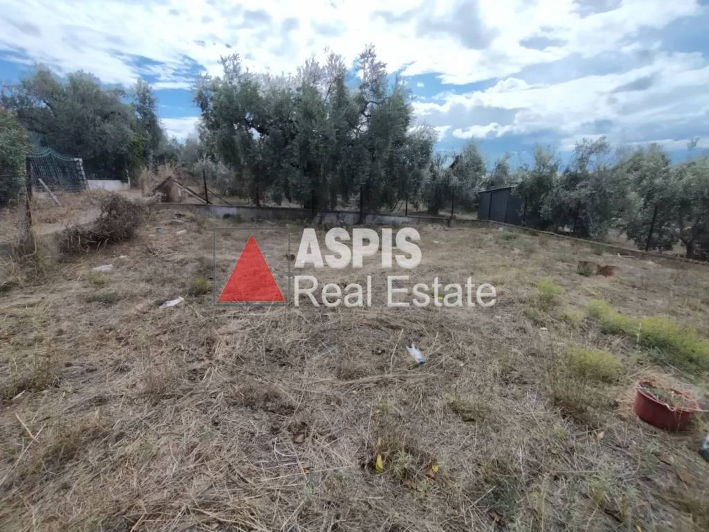 Εξωτερικοι χώροι