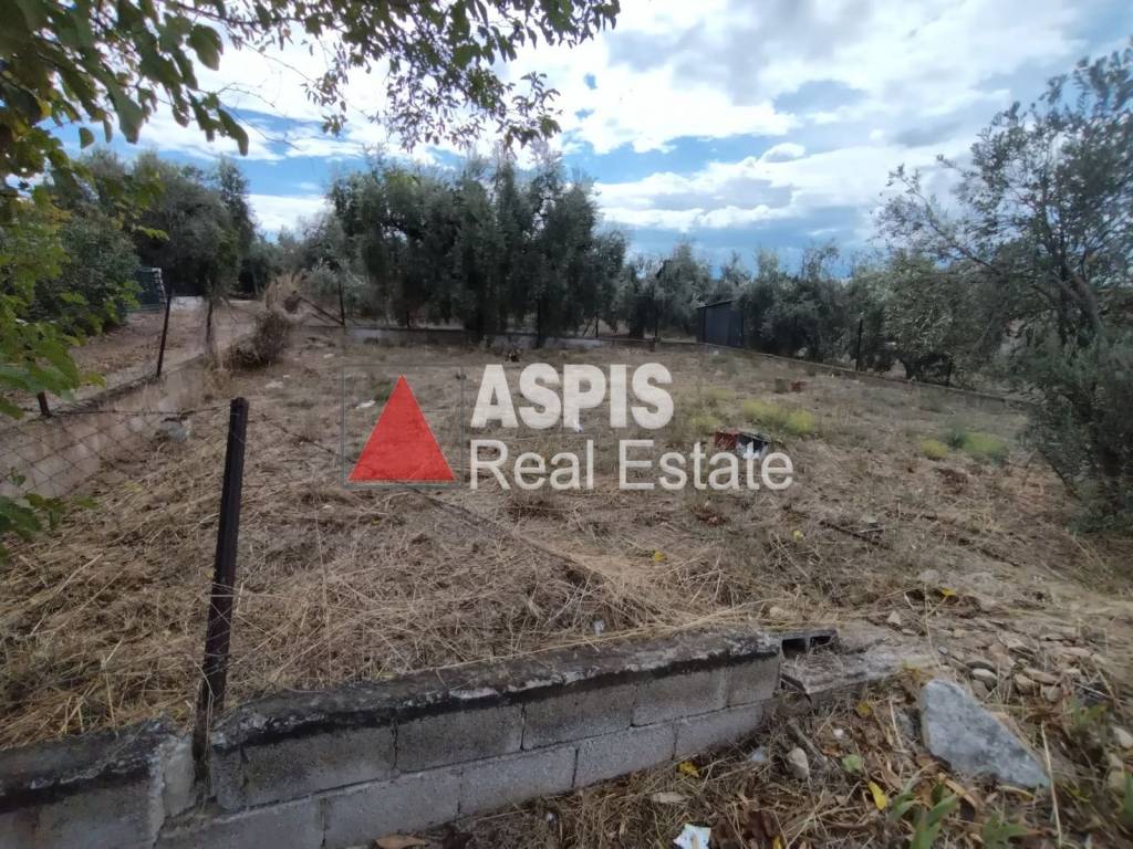 Εξωτερικοι χώροι