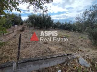 Εξωτερικοι χώροι