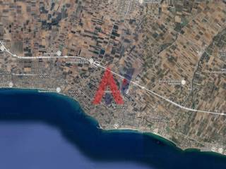 Screenshot 2025-05-09 11.05.44 AM.png