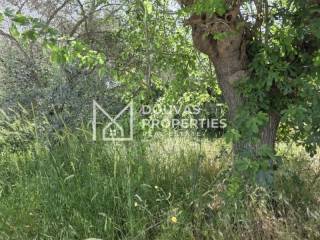 Douvasproperties.gr | plot | Sikia Beach | Halkidiki