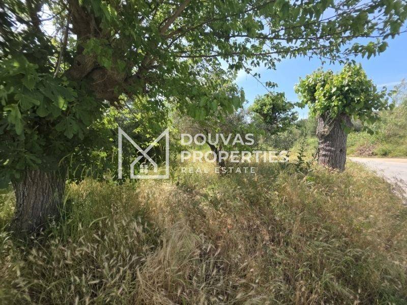 Douvasproperties.gr | plot | Sikia Beach | Halkidiki