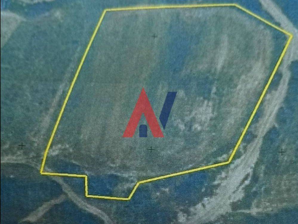 Screenshot 2025-05-07 12.16.46 PM.png