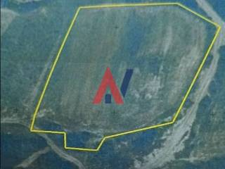 Screenshot 2025-05-07 12.16.46 PM.png