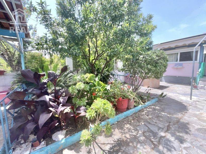 Ύπαρξη ανθρώπου