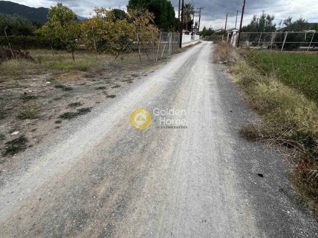 Εξωτερικός Χώρος