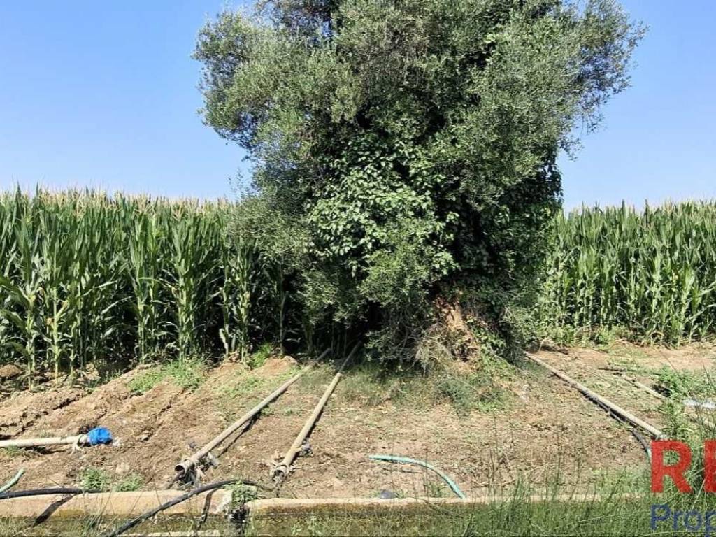 Εξωτερικοι χώροι