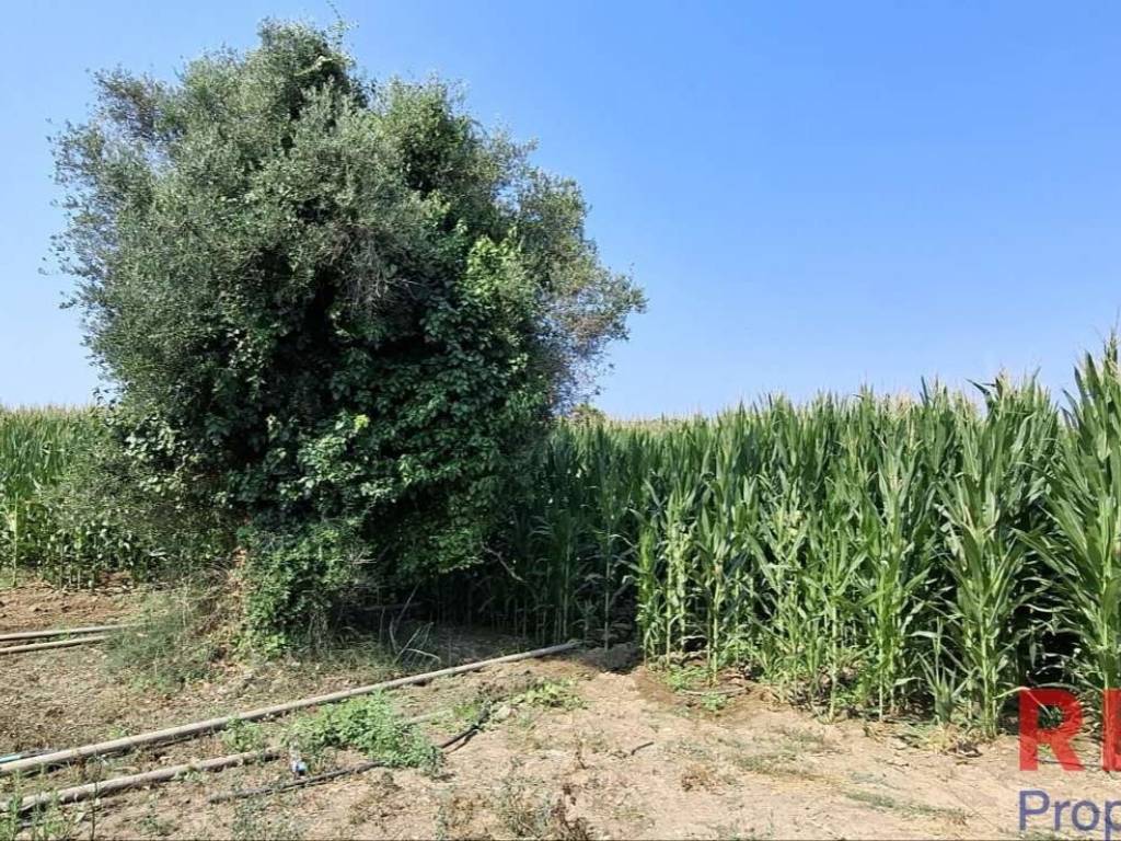 Εξωτερικοι χώροι