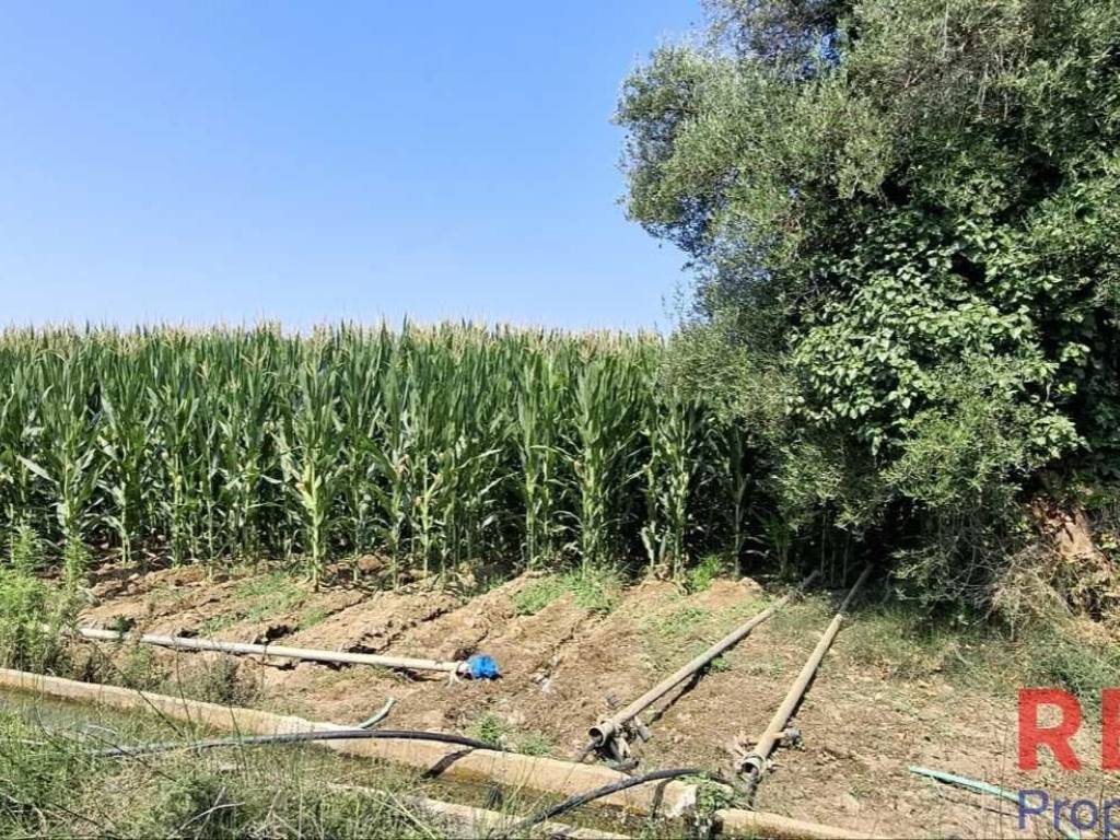 Εξωτερικοι χώροι