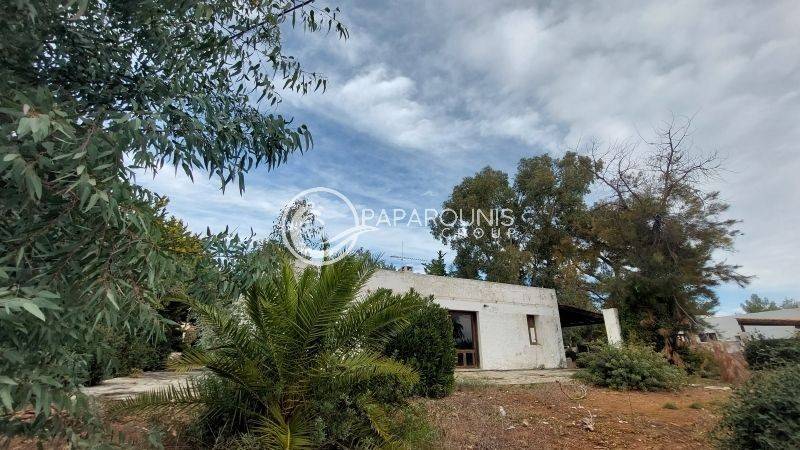 Εξωτερικός χώρος