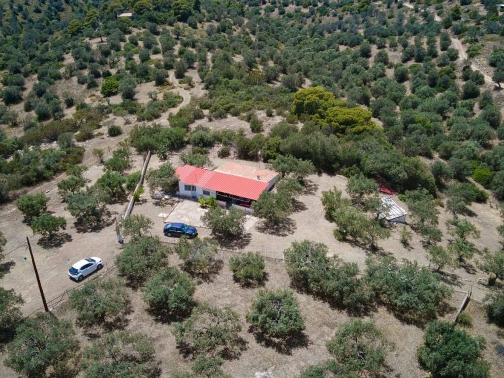 Ύπαρξη ανθρώπου