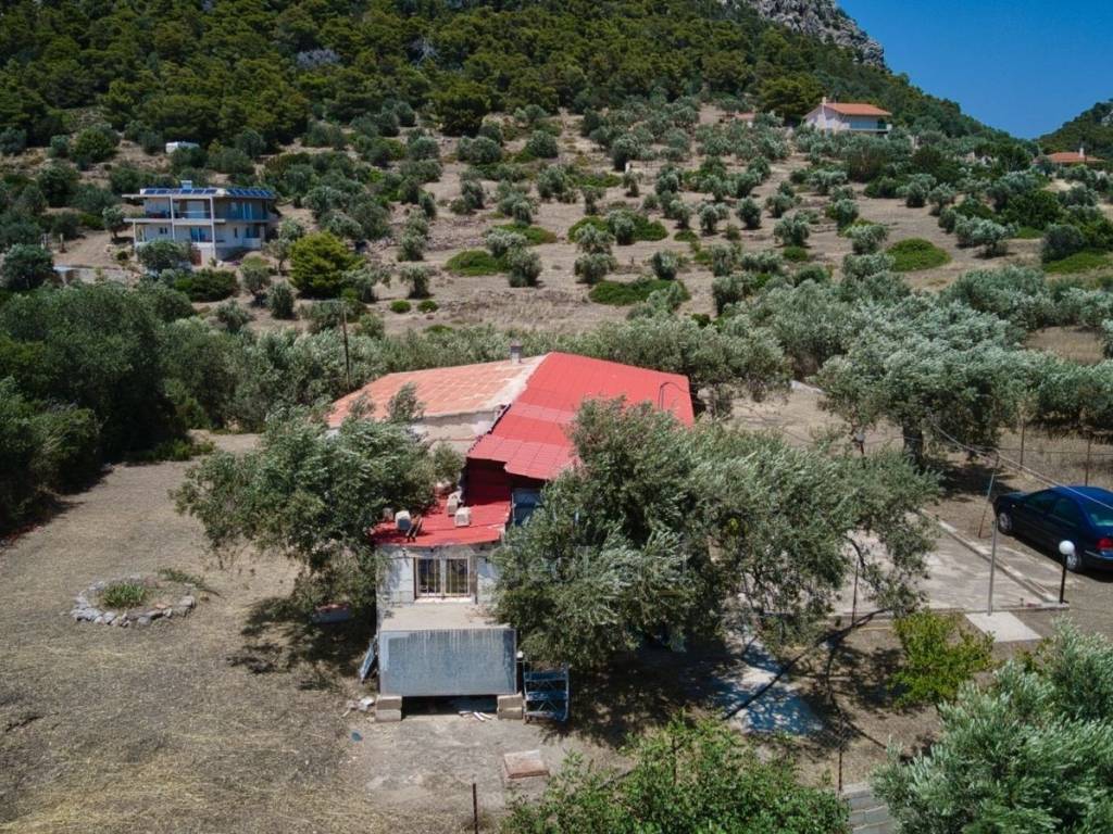 Ύπαρξη ανθρώπου