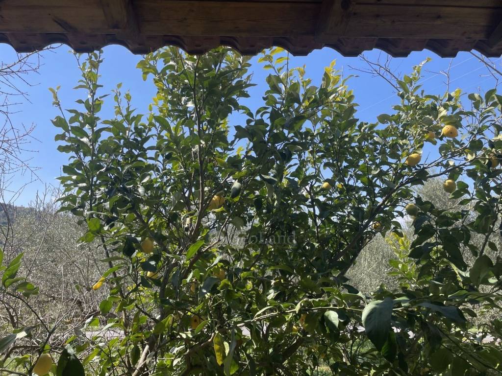 Θέα από μπαλκόνι