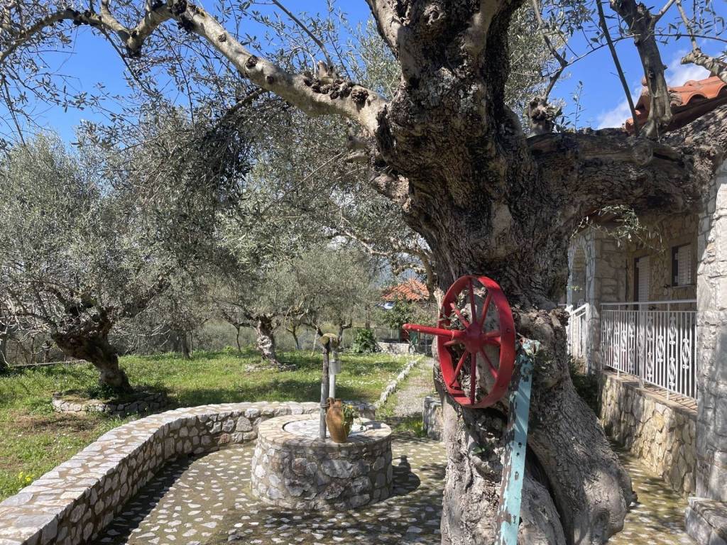 Ύπαρξη ανθρώπου