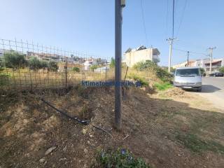 Εξωτερικοι χώροι