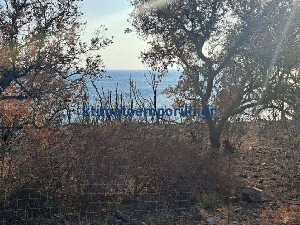 Εξωτερικοι χώροι