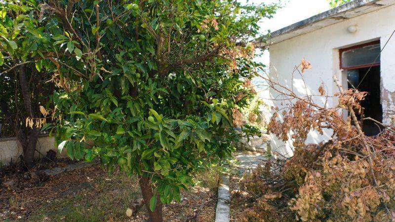 Εξωτερικός χώρος