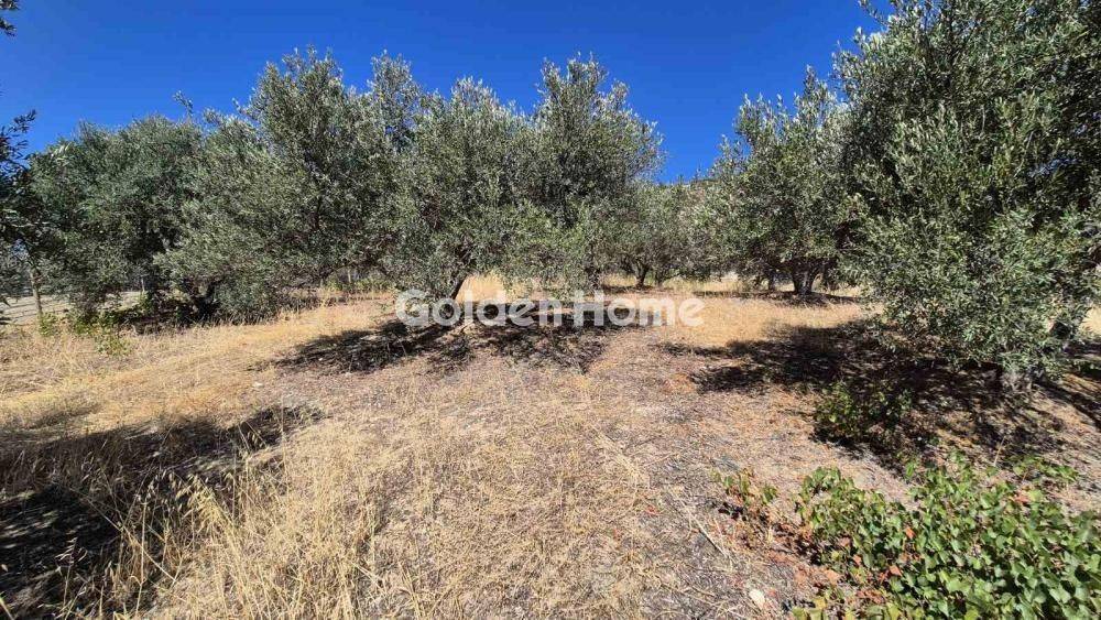 Κυρίως Χώρος