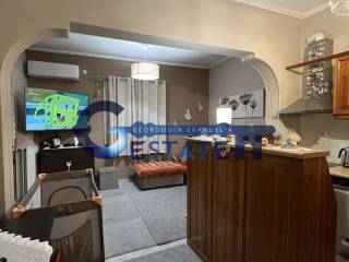 Σαλοκουζίνα,Ισόγειο Διαμέρισμα