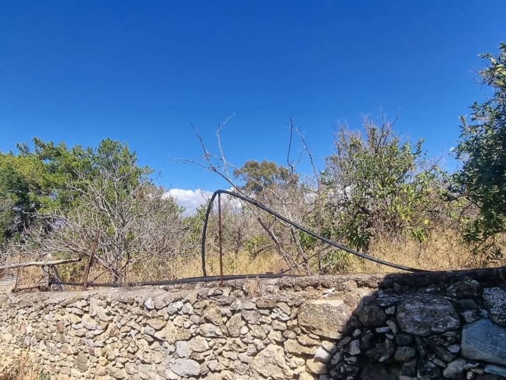 PEREIPHRAXE ME PETRA