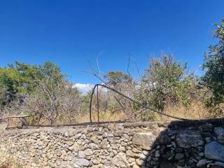 PEREIPHRAXE ME PETRA