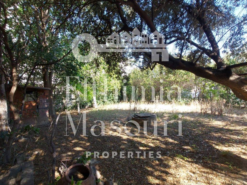 Εξωτερικοι χώροι