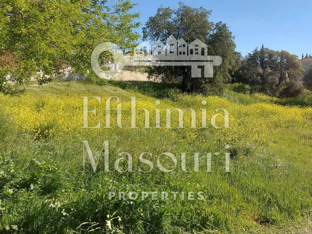 Εξωτερικοι χώροι