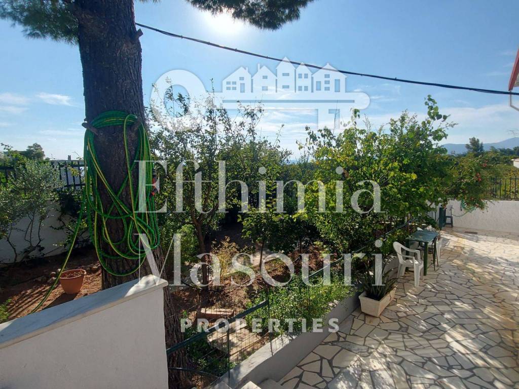 Εξωτερικοι χώροι