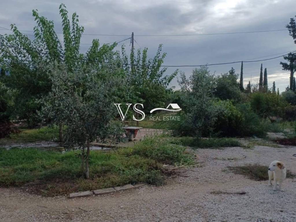 Άποψη χώρου