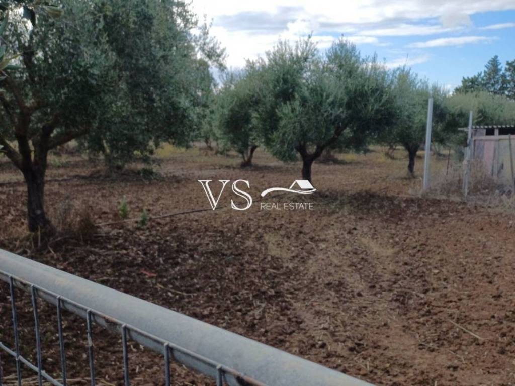 Άποψη χώρου