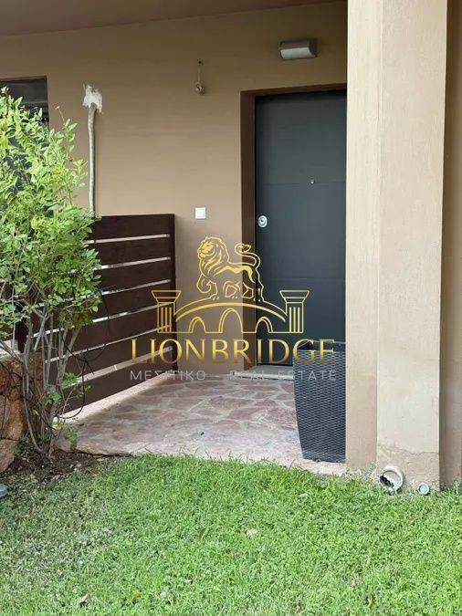 Εξωτερικοι χώροι