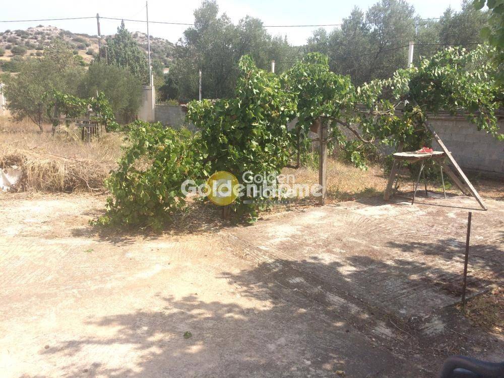 Εξωτερικός Χώρος