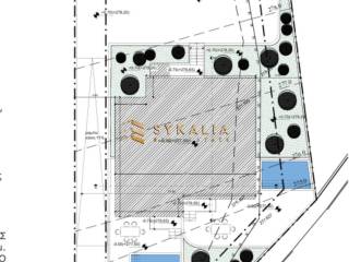 ΓΕΝΙΚΕΣ ΦΩΤΟ