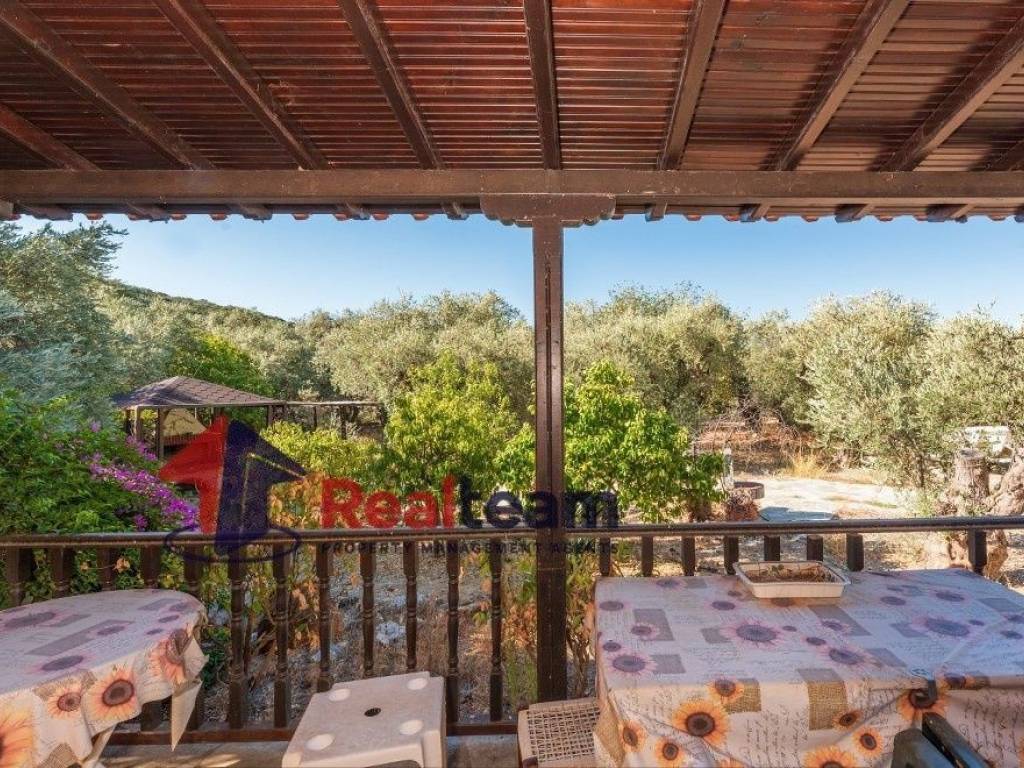 Εξωτερικοι χώροι