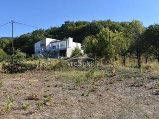 ΑΠΟΨΗ ΟΙΚΟΠΕΔΟΥ