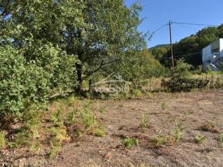 ΑΠΟΨΗ ΟΙΚΟΠΕΔΟΥ