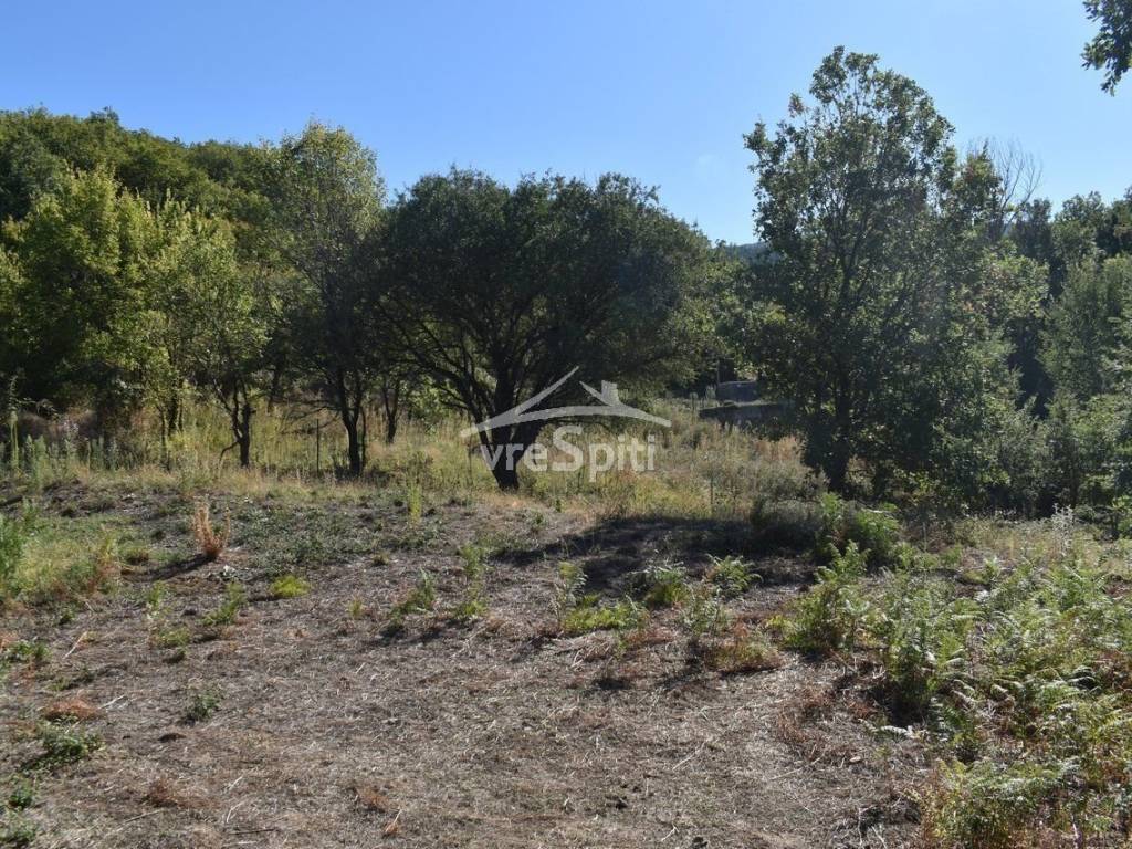 ΑΠΟΨΗ ΟΙΚΟΠΕΔΟΥ