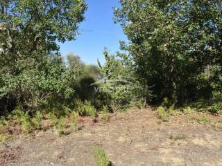 ΑΠΟΨΗ ΟΙΚΟΠΕΔΟΥ