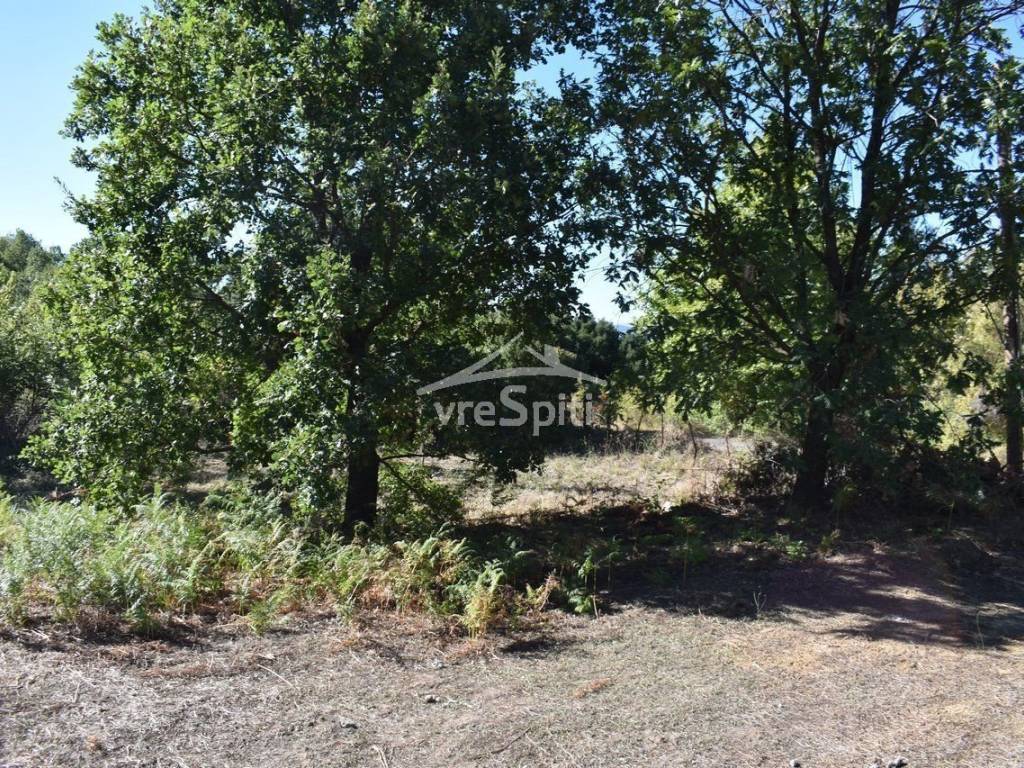 ΑΠΟΨΗ ΟΙΚΟΠΕΔΟΥ