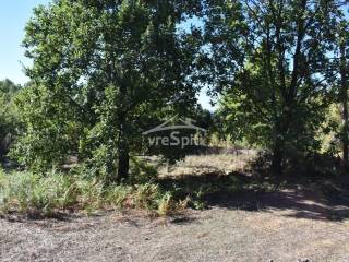 ΑΠΟΨΗ ΟΙΚΟΠΕΔΟΥ