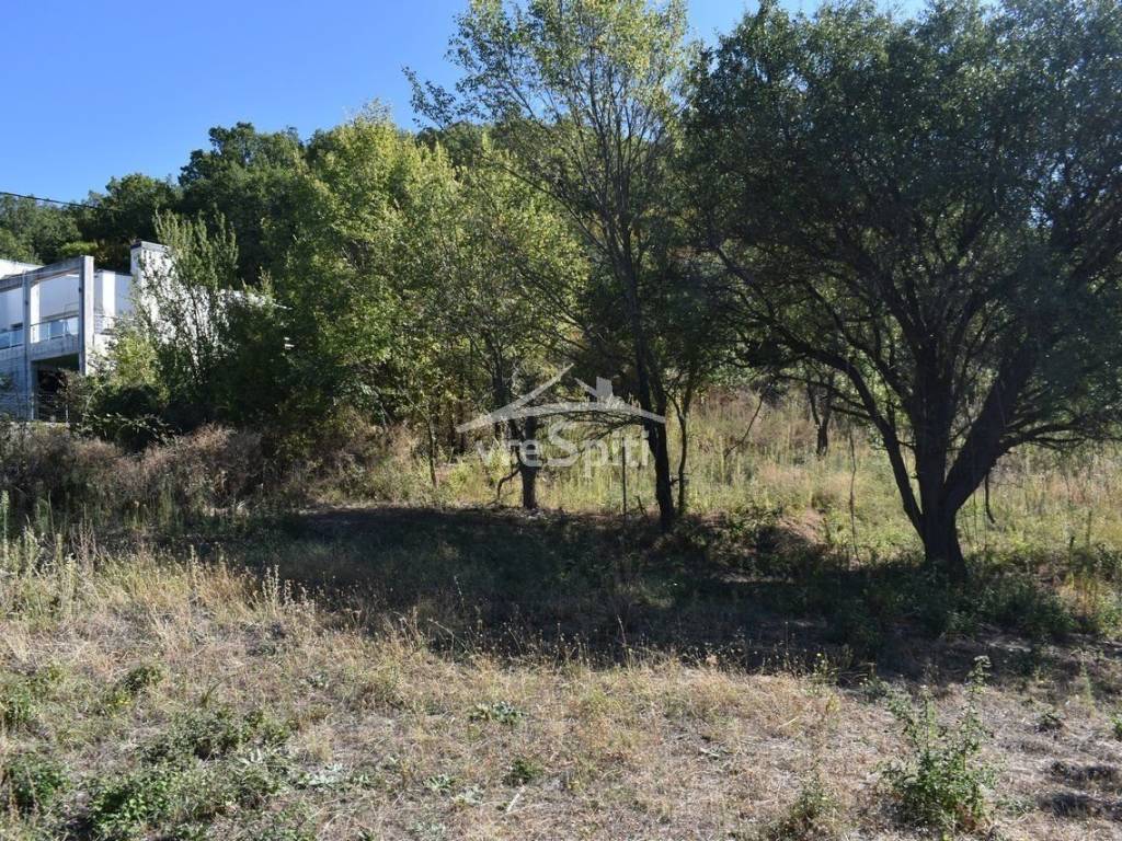 ΑΠΟΨΗ ΟΙΚΟΠΕΔΟΥ