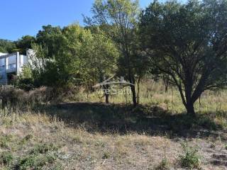 ΑΠΟΨΗ ΟΙΚΟΠΕΔΟΥ