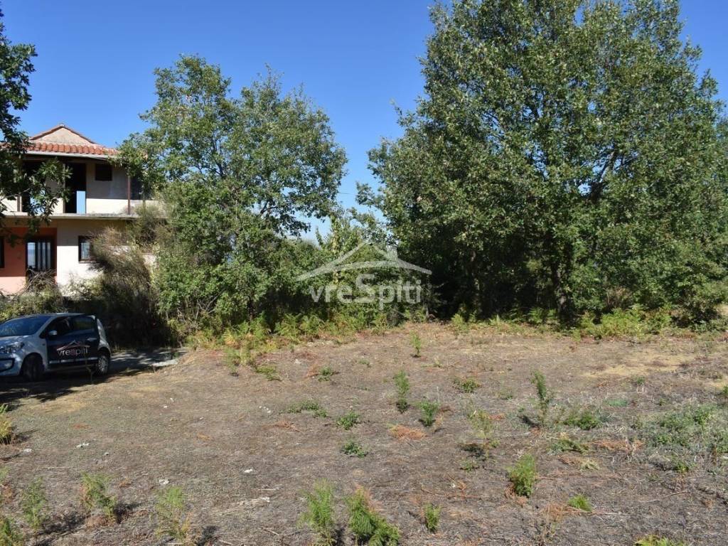 ΑΠΟΨΗ ΟΙΚΟΠΕΔΟΥ