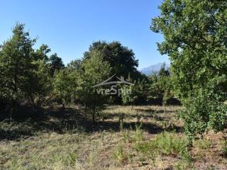 ΑΠΟΨΗ ΟΙΚΟΠΕΔΟΥ